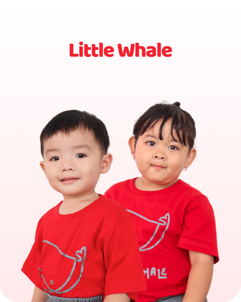 Little Whale School Background