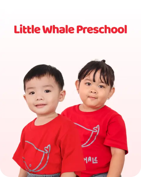 Little Whale School Background