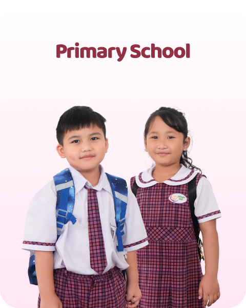 Primary School Background