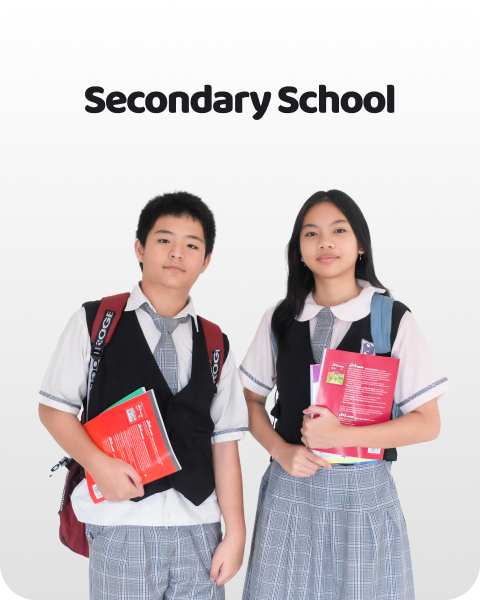 Secondary School Background